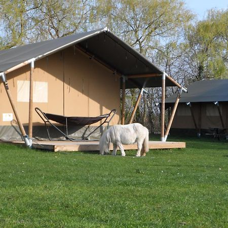 Hoeveheikant Lage Mierde Esterno foto
