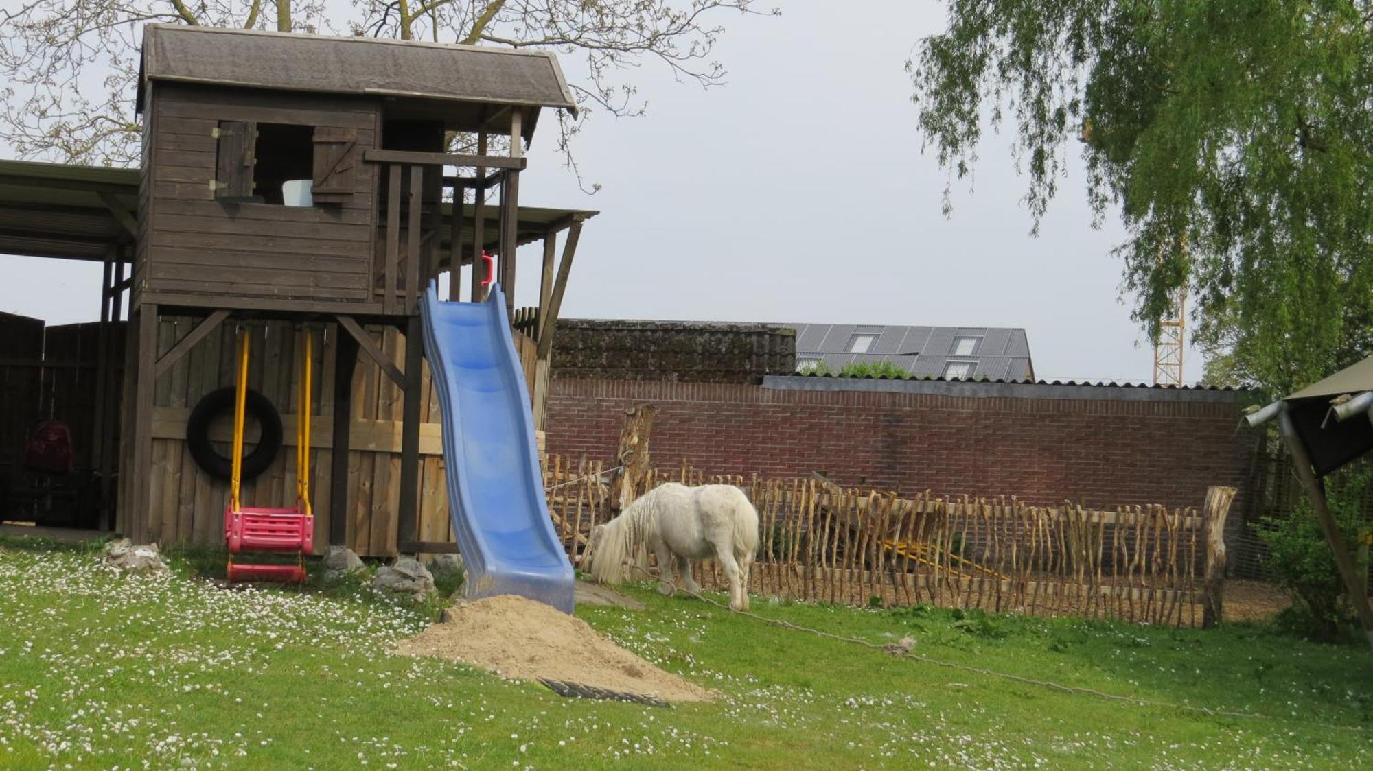 Hoeveheikant Lage Mierde Esterno foto