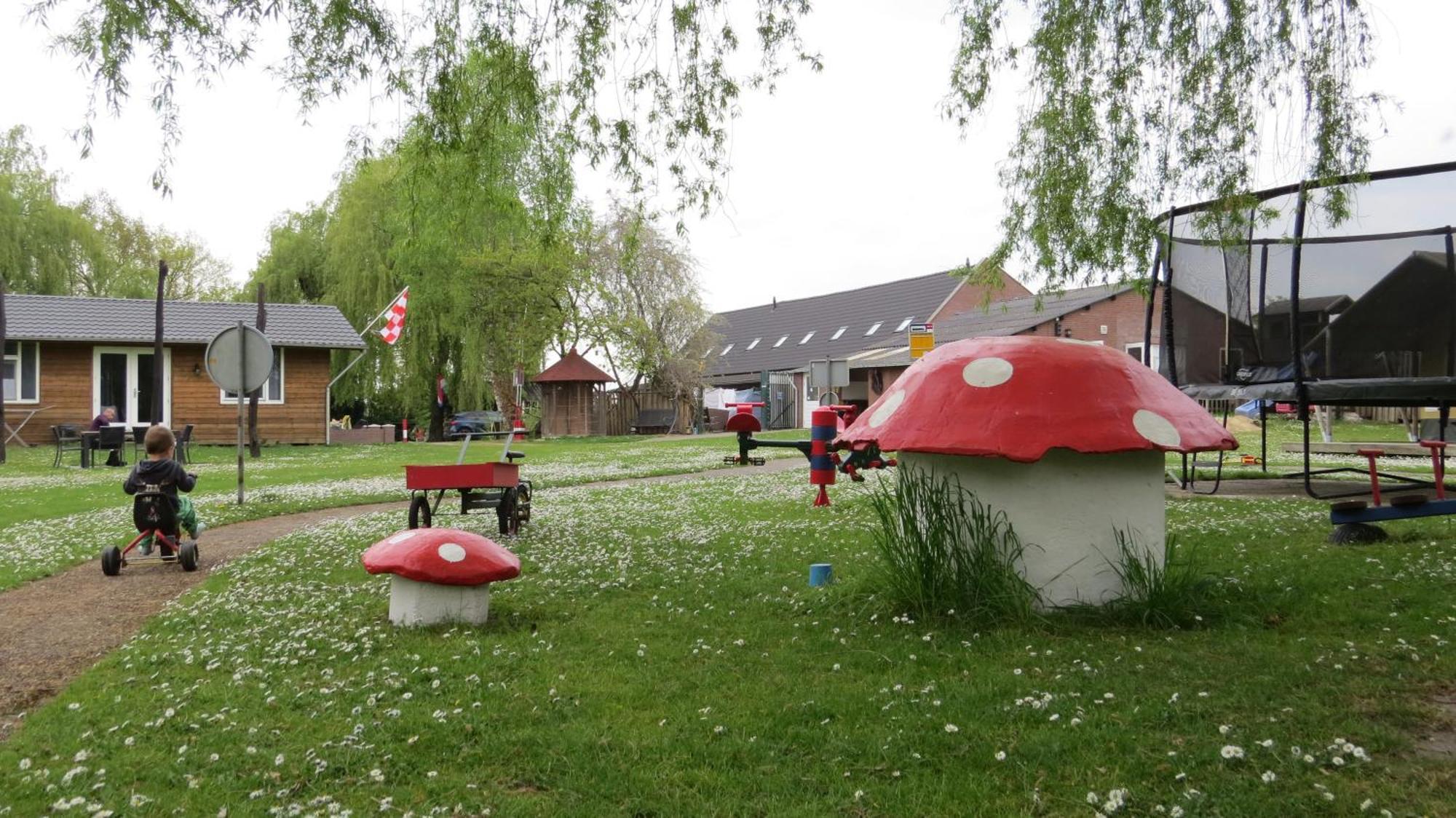 Hoeveheikant Lage Mierde Esterno foto
